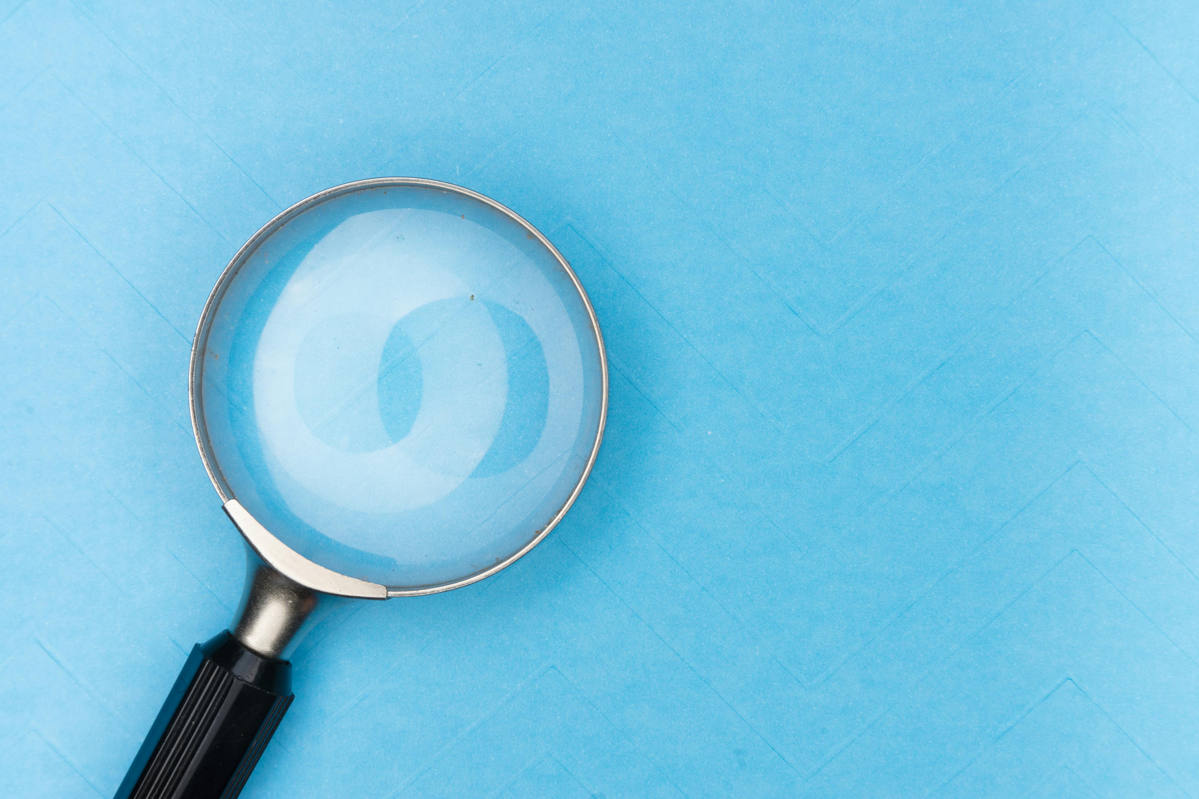 Expert review process